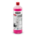 SanitPro WC- und Grundreiniger CA 10 C eco!perform